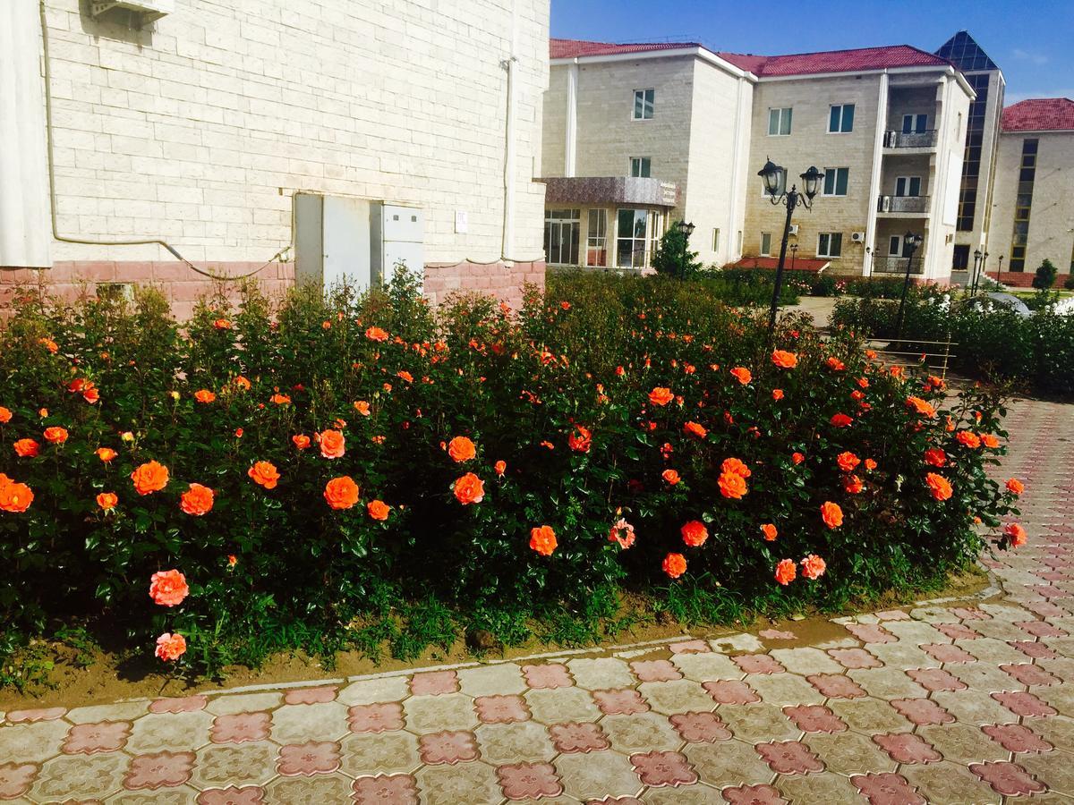טרז Hotel Ark Ms מראה חיצוני תמונה